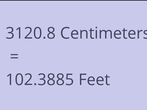 3120.8 CM TO FEET