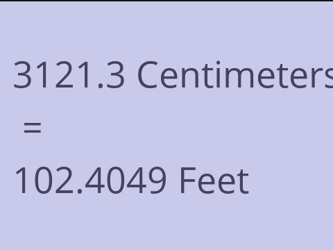 3121.3 CM TO FEET