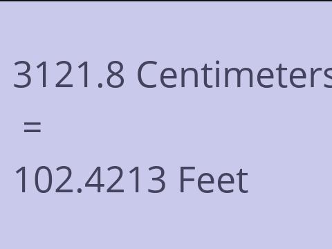 3121.8 CM TO FEET