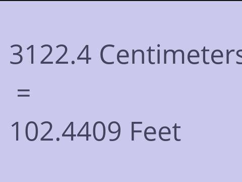 3122.4 CM TO FEET
