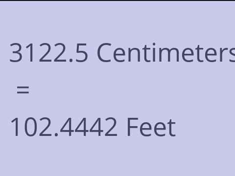 3122.5 CM TO FEET