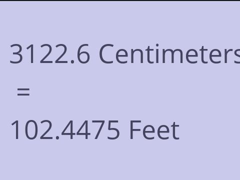 3122.6 CM TO FEET