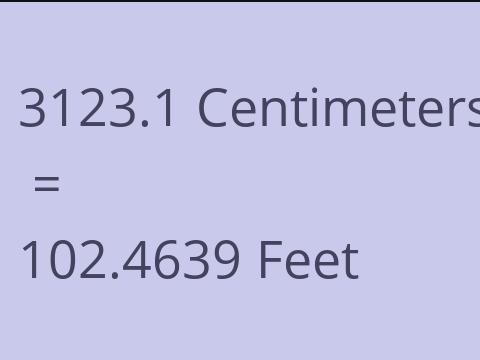 3123.1 CM TO FEET