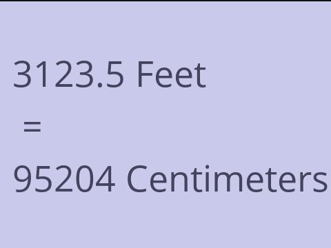 3123.5 FEET TO CM