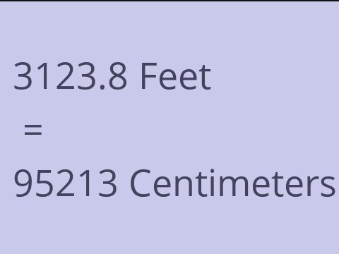 3123.8 FEET TO CM