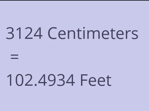 3124 CM TO FEET