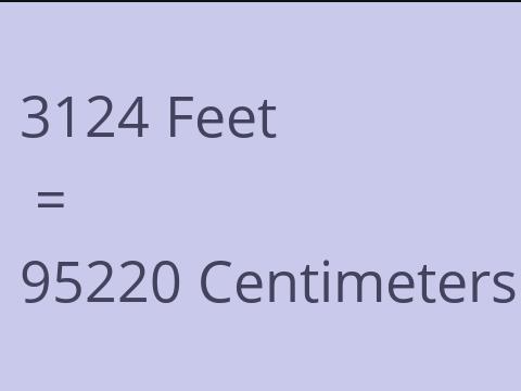 3124 FEET TO CM