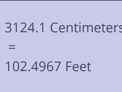 3124.1 CM TO FEET