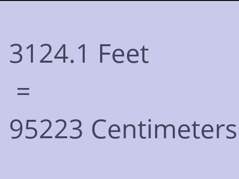 3124.1 FEET TO CM