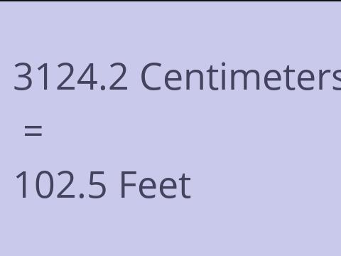 3124.2 CM TO FEET