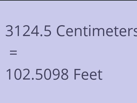 3124.5 CM TO FEET