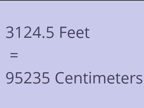 3124.5 FEET TO CM