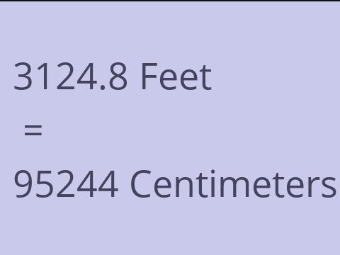 3124.8 FEET TO CM
