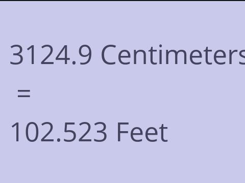 3124.9 CM TO FEET