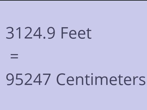 3124.9 FEET TO CM