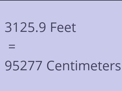 3125.9 FEET TO CM