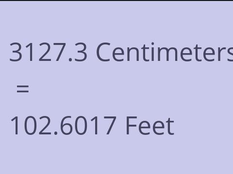 3127.3 CM TO FEET