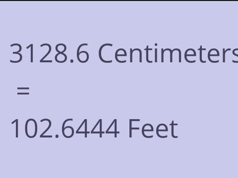 3128.6 CM TO FEET