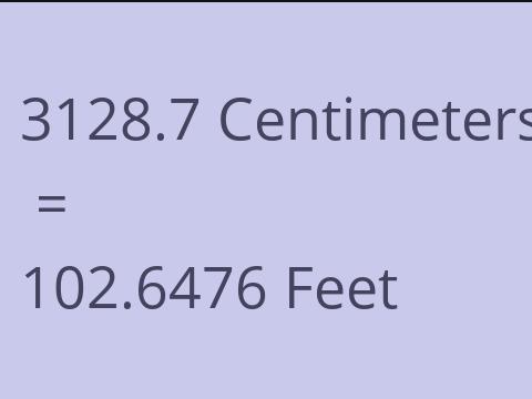 3128.7 CM TO FEET