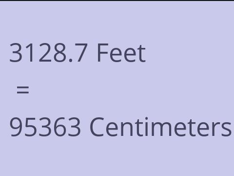 3128.7 FEET TO CM