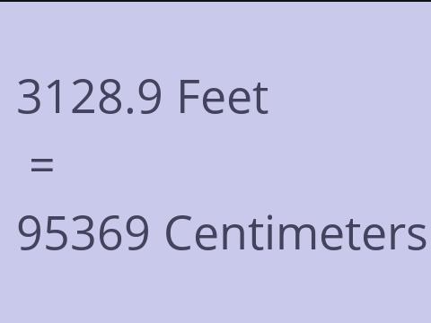 3128.9 FEET TO CM