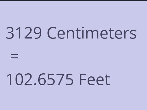 3129 CM TO FEET