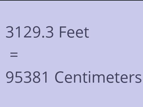 3129.3 FEET TO CM