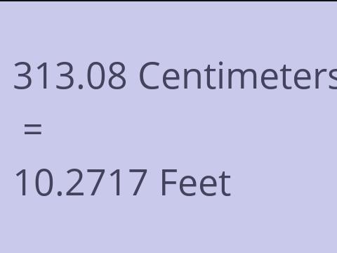 313.08 CM TO FEET