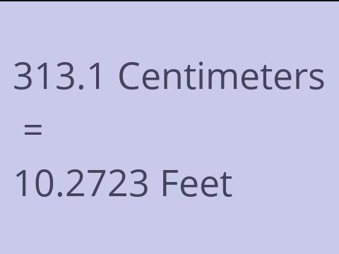 313.1 CM TO FEET