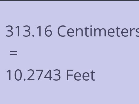 313.16 CM TO FEET