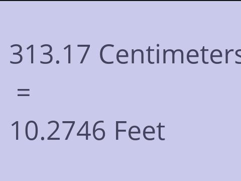 313.17 CM TO FEET