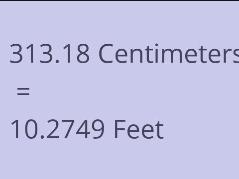 313.18 CM TO FEET