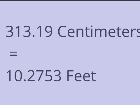 313.19 CM TO FEET