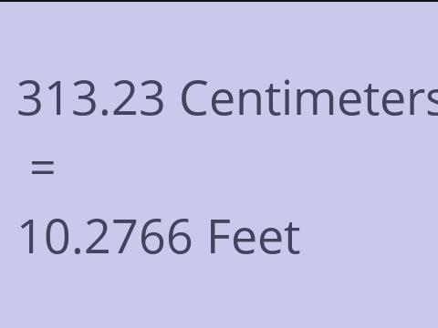 313.23 CM TO FEET