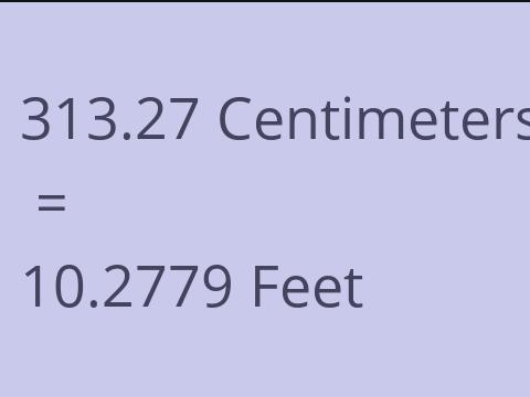 313.27 CM TO FEET