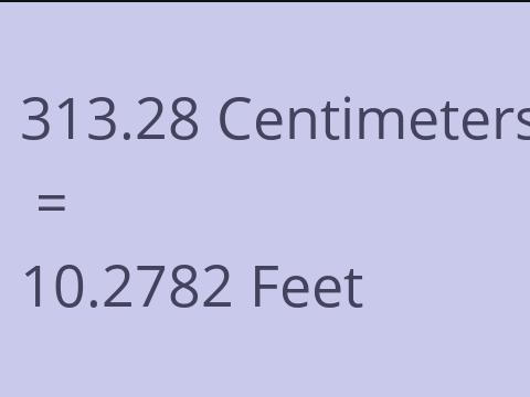 313.28 CM TO FEET