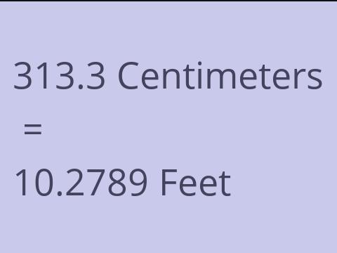 313.3 CM TO FEET