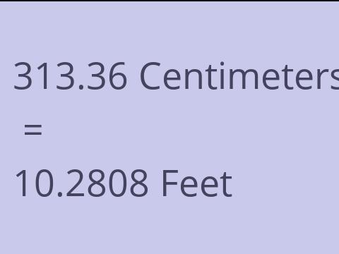 313.36 CM TO FEET