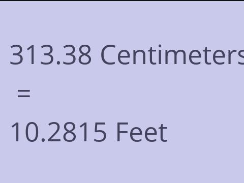 313.38 CM TO FEET