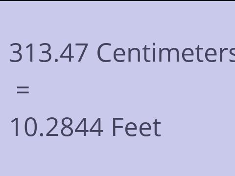 313.47 CM TO FEET