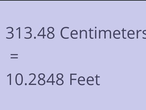 313.48 CM TO FEET