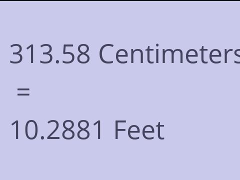 313.58 CM TO FEET