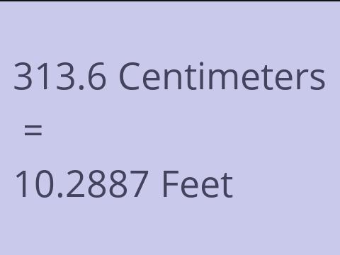 313.6 CM TO FEET