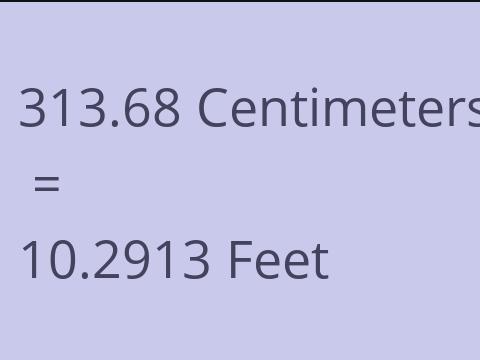 313.68 CM TO FEET