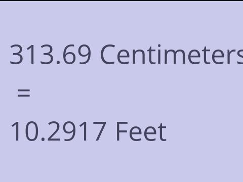 313.69 CM TO FEET