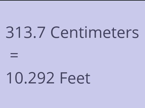 313.7 CM TO FEET