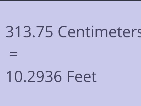 313.75 CM TO FEET