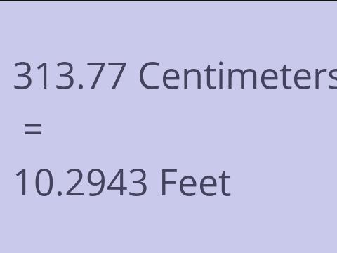 313.77 CM TO FEET