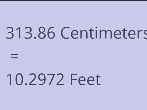 313.86 CM TO FEET