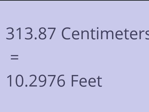 313.87 CM TO FEET